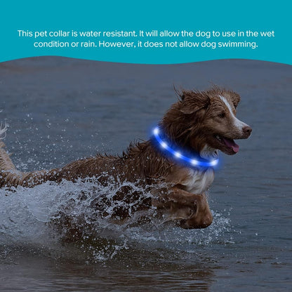 USB Rechargeable Blue LED Dog Collar Light - Silicone Flashing Neck Light for Camping