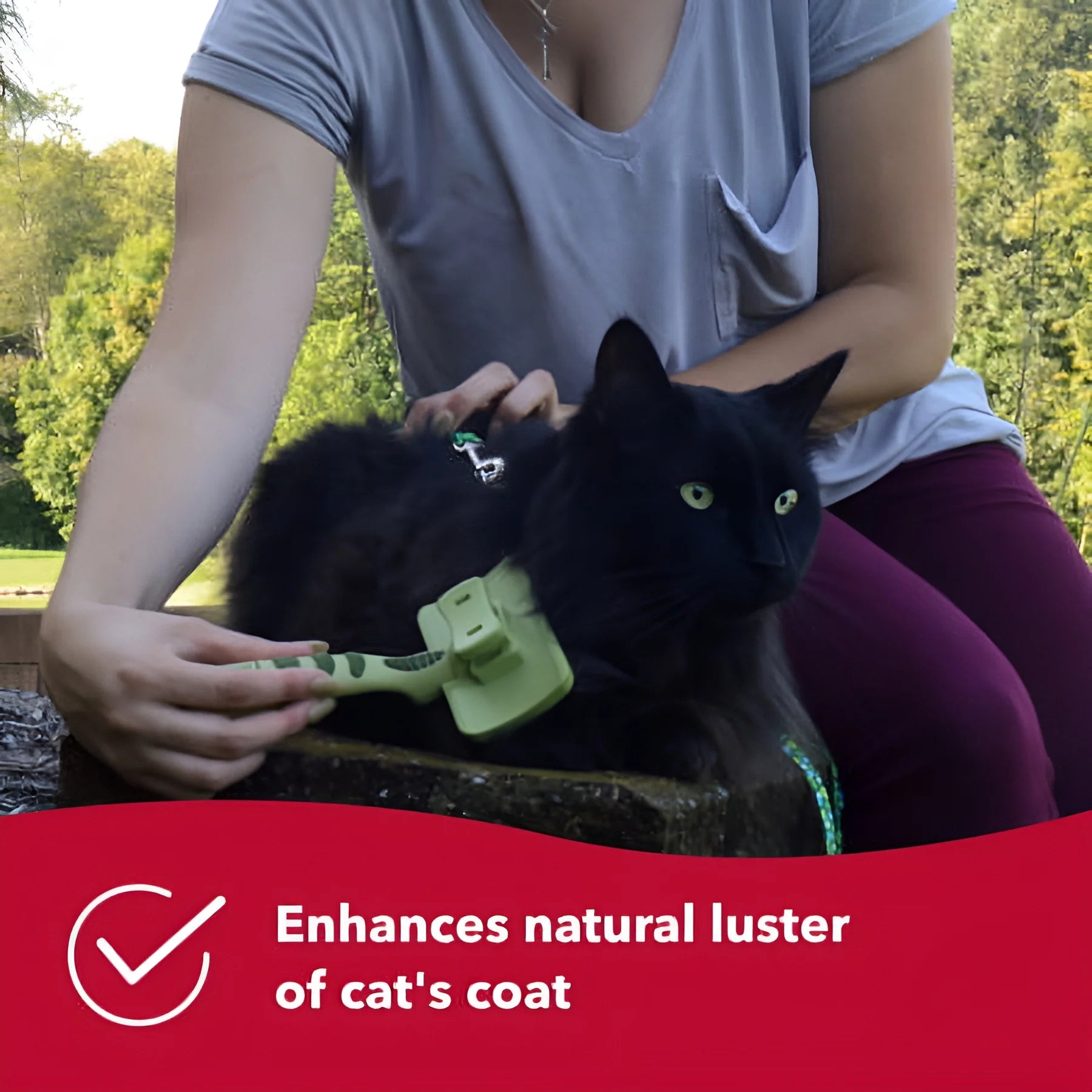 Safari Cat Self-Cleaning Slicker Brush - Professional Grooming Tool for Cats