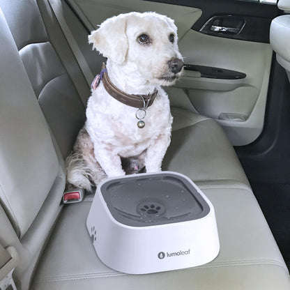 No-Spill Water Bowl for Dogs - Slow Feeder for Messy Drinkers, Drip-Free and Splash-Proof Design (Grey, 35oz)
