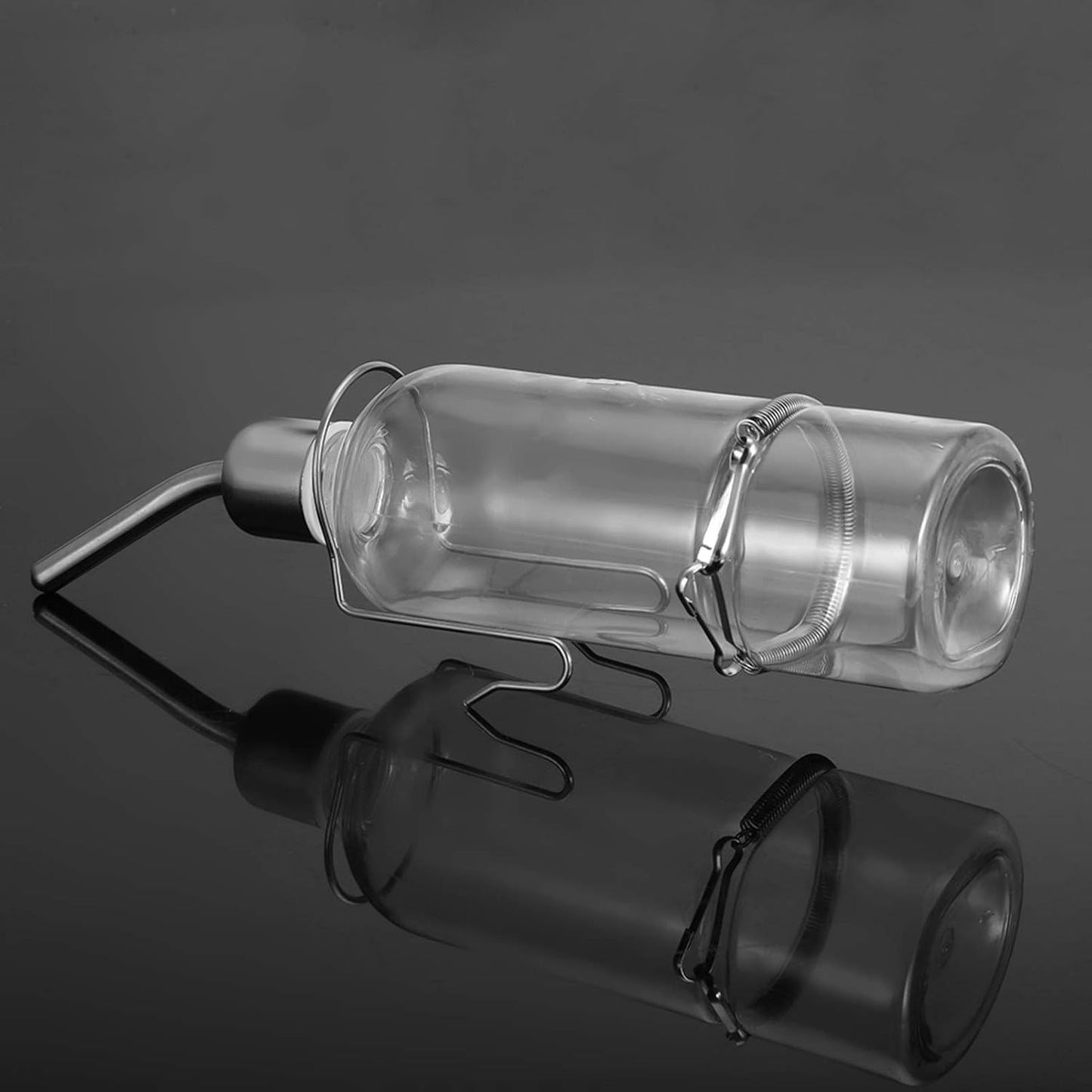 Automatic Stainless Steel Pet Water Dispenser for Birds and Hamsters - 180ml Transparent Small Animal Waterer with Ball Nipple Drinker